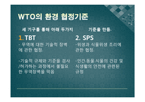 [국제무역] 세계무역기구 WTO-10