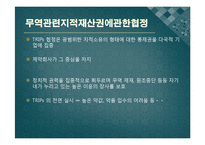 [국제무역] 세계무역기구 WTO-15