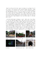 [관광교통] 정선 레일바이크(Railbike) 관광교통수단으로써의 가치-4