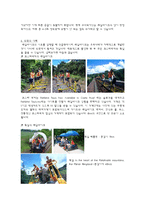 [관광교통] 정선 레일바이크(Railbike) 관광교통수단으로써의 가치-9