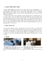 [관광교통론] 크루즈 교통수단과 관광적 가치의 대한 조사-7