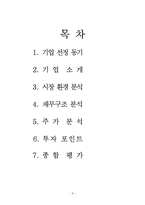 [투자론] 하나투어 투자가치 분석(재무분석)-2