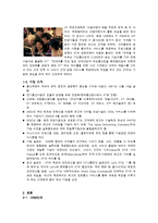 [CRM, 고객관계관리] KT의 CRM 분석을 통한 개선안 제시-3