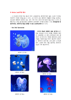 [관광자원론] 홍콩 오션파크-13