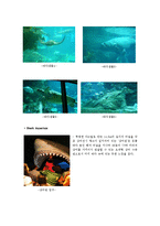 [관광자원론] 홍콩 오션파크-15