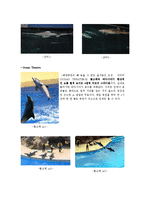 [관광자원론] 홍콩 오션파크-16