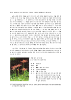 [국어국문 방언] 상사화꽃 방언분석-19