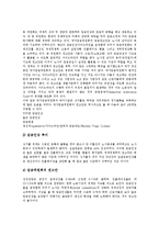 [동남아시아] 동남아시아의 민족, 언어, 명칭, 범위와 동남아시아의 문화구조 및 동남아시아의 임금정책에 관한 분석-13