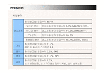 [경영전략] 소니 코리아(SONY KOREA)의 국내시장진출과 새로운 전략-8