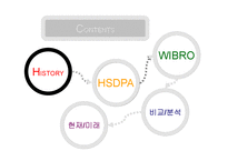 차세대 이동통신 표준 -HSDPA, WIBRO-2