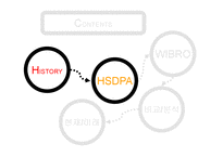 차세대 이동통신 표준 -HSDPA, WIBRO-4