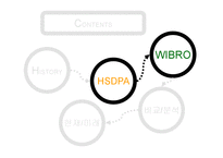 차세대 이동통신 표준 -HSDPA, WIBRO-10