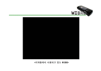 차세대 이동통신 표준 -HSDPA, WIBRO-15