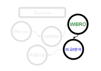 차세대 이동통신 표준 -HSDPA, WIBRO-17