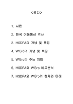 차세대 이동통신 표준 -HSDPA, WIBRO-2