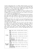 차세대 이동통신 표준 -HSDPA, WIBRO-8
