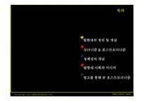 [미디어비평] 미디어와 광고 그리고 탈현대적 정체성의 구성-2