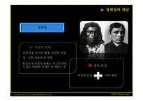 [미디어비평] 미디어와 광고 그리고 탈현대적 정체성의 구성-6