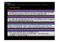 [국제자원론] 우라늄 에너지-3