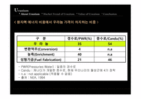 [국제자원론] 우라늄 에너지-6