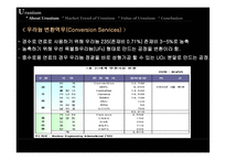 [국제자원론] 우라늄 에너지-7
