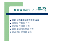 성체 줄기세포의 연구-3