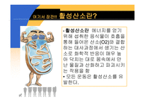 [운동과 건강] 노화와 건강-11