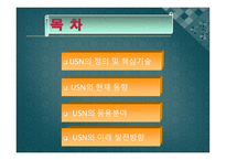 [멀티미디어] USN의 발전 방향과 응용 분야 미래의 발전 방향-2