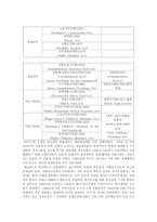 [비교정치경제론] 네덜란드 모델-9