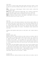 [연구계획서] 대학생들의 휴대전화 태도조사를 통한 3G모바일 시장전략연구-10