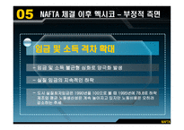 NAFTA가 멕시코 경제에 미친 영향과 시사점-12