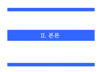 [전자상거래] 인터넷 뱅킹 보안의 과제와 대응방안-5