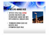 GATT, WTO 의 성장과 한계-10