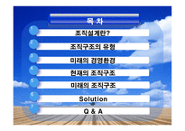 [경영원론, 조직구조] 미래 조직설계 방안-2