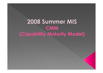[mis, 경영정보] CMM(Capability Maturity Model)-1