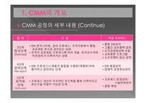 [mis, 경영정보] CMM(Capability Maturity Model)-7