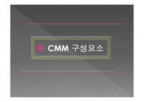 [mis, 경영정보] CMM(Capability Maturity Model)-11