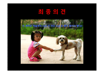 [무역법규] FOB 조건이기 때문에 CFS 의 사고를 보험 사고로 인정 받지 못한 사례-16