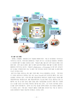 [경영정보시스템 도입의 성공사례] KT ERP System의 도입-4