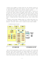 [경영정보시스템 도입의 성공사례] KT ERP System의 도입-9