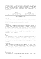 [국제지역학] 비비큐 BBQ 중국진출 성공전략-11