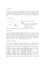 [사업계획서] 한국민속촌 -한국형 테마파크 사업계획서-2