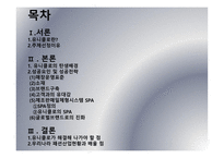 [국제경영] 유니클로 성공요인 및 성공전략, SPA-2