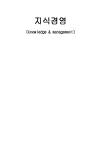 [생산운영] KMS(지식경영) & JIT(적시생산시스템) 연구-2