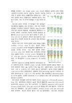 [응용유체역학] Cyclone separator-7