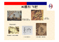 [스포츠경영학] 씨름 현황 및 문제점 해결방안-5