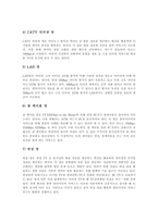 [멀티미디어] 멀티미디어의 정의, 배경, 특징, 유형과 멀티미디어의 교육적 효과, 멀티미디어 기술 및 시사점, 멀티미디어의 효율성 증진 방안 분석-12