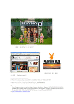 playboy 플레이보이 해외 진출전략-11