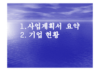 [사업계획서] 스타일 코디-1