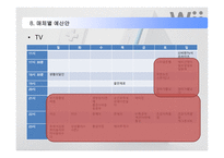 [매체기획, 광고] 닌텐도 wii 매체기획서-17